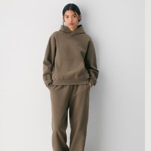 Aritzia cozy sweat fleece perfect hoodie